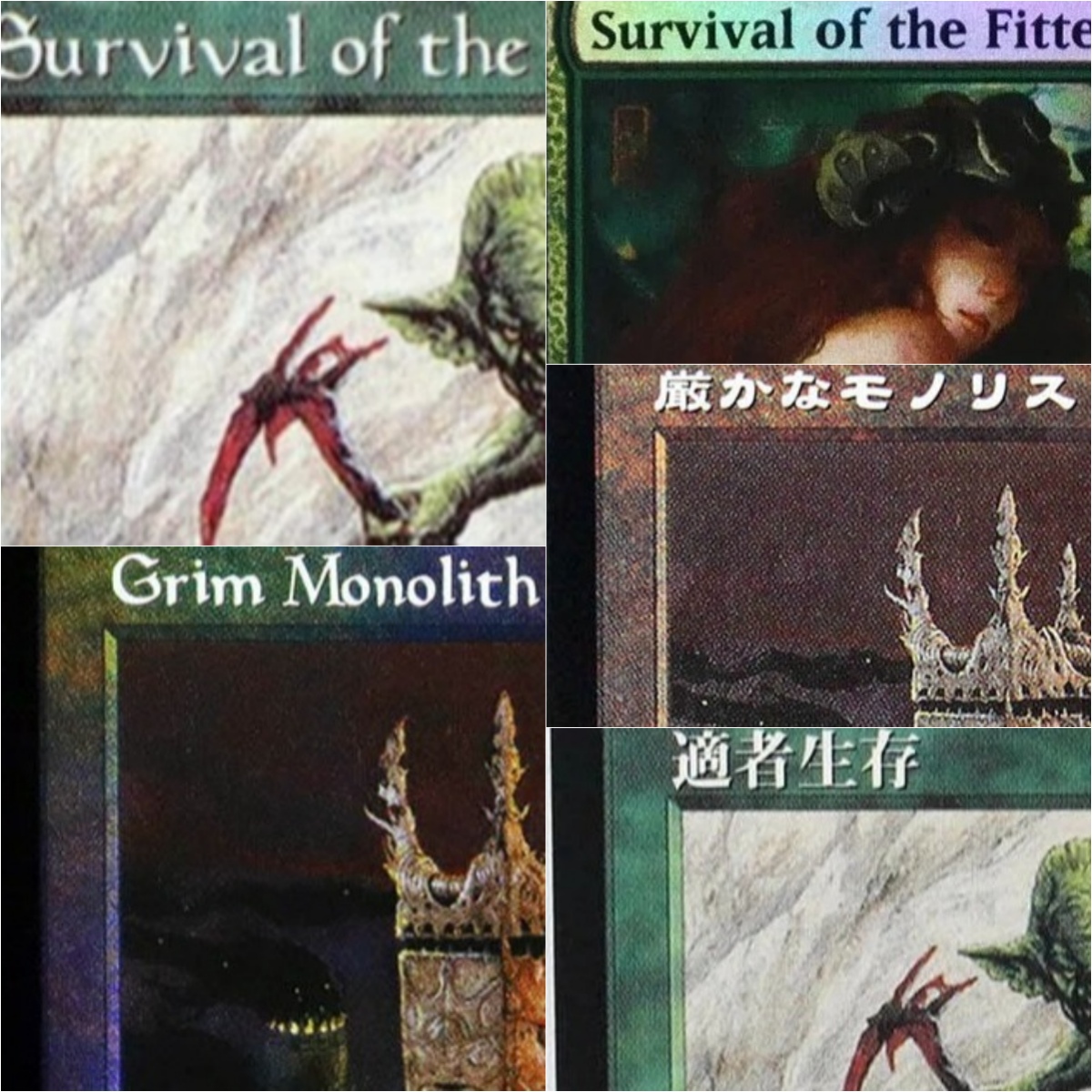 Grim Monolith/Survival of the  – Board Game Survive The Island Bewertung und Preis
